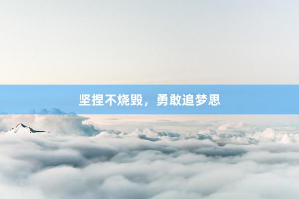 坚捏不烧毁，勇敢追梦思