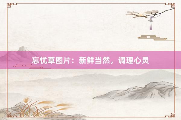 忘忧草图片：新鲜当然，调理心灵