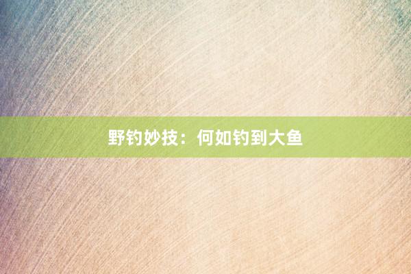 野钓妙技：何如钓到大鱼