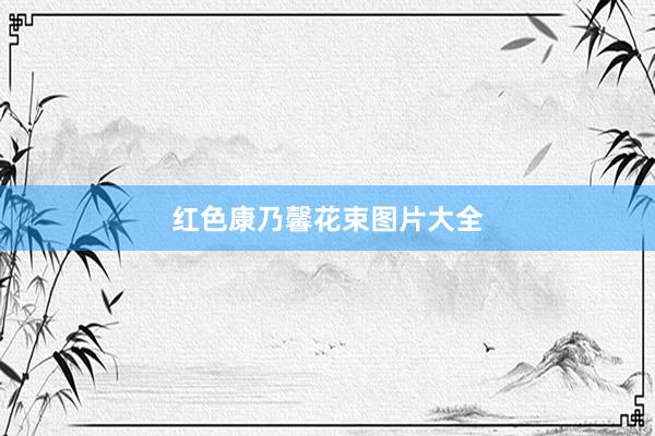 红色康乃馨花束图片大全